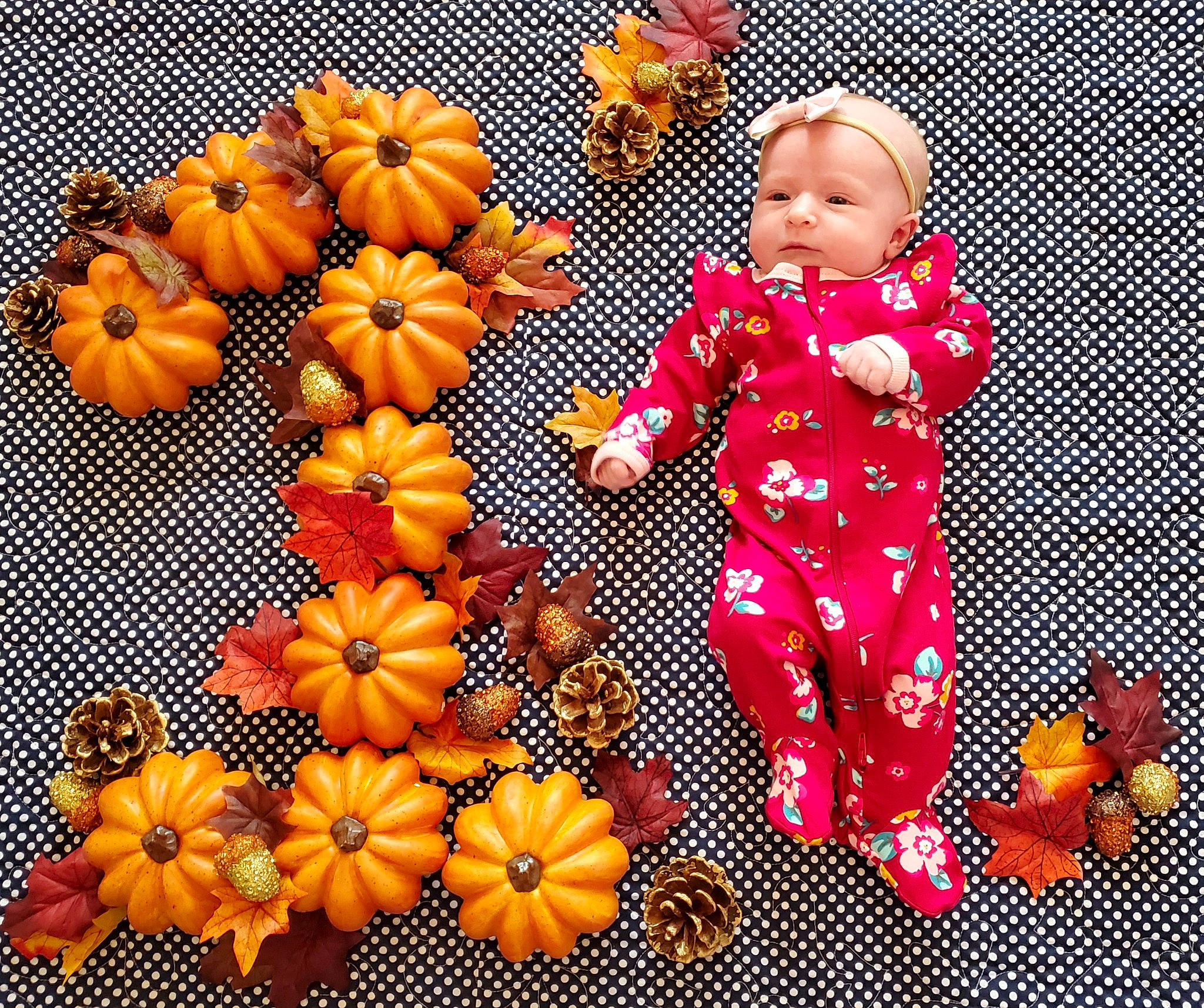 Lilith joined the competition — help win amazing prizes! calabaza, child, flower, fruit, leaf, orange, perennial_plant, person, plant, pumpkin, toddler, vegetable