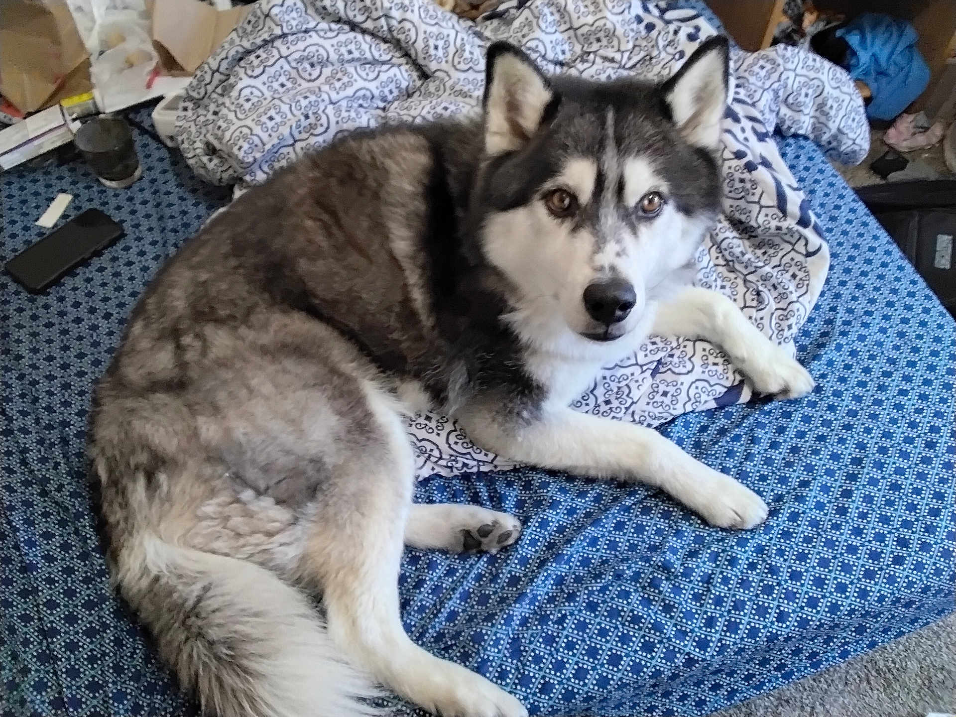 Odin