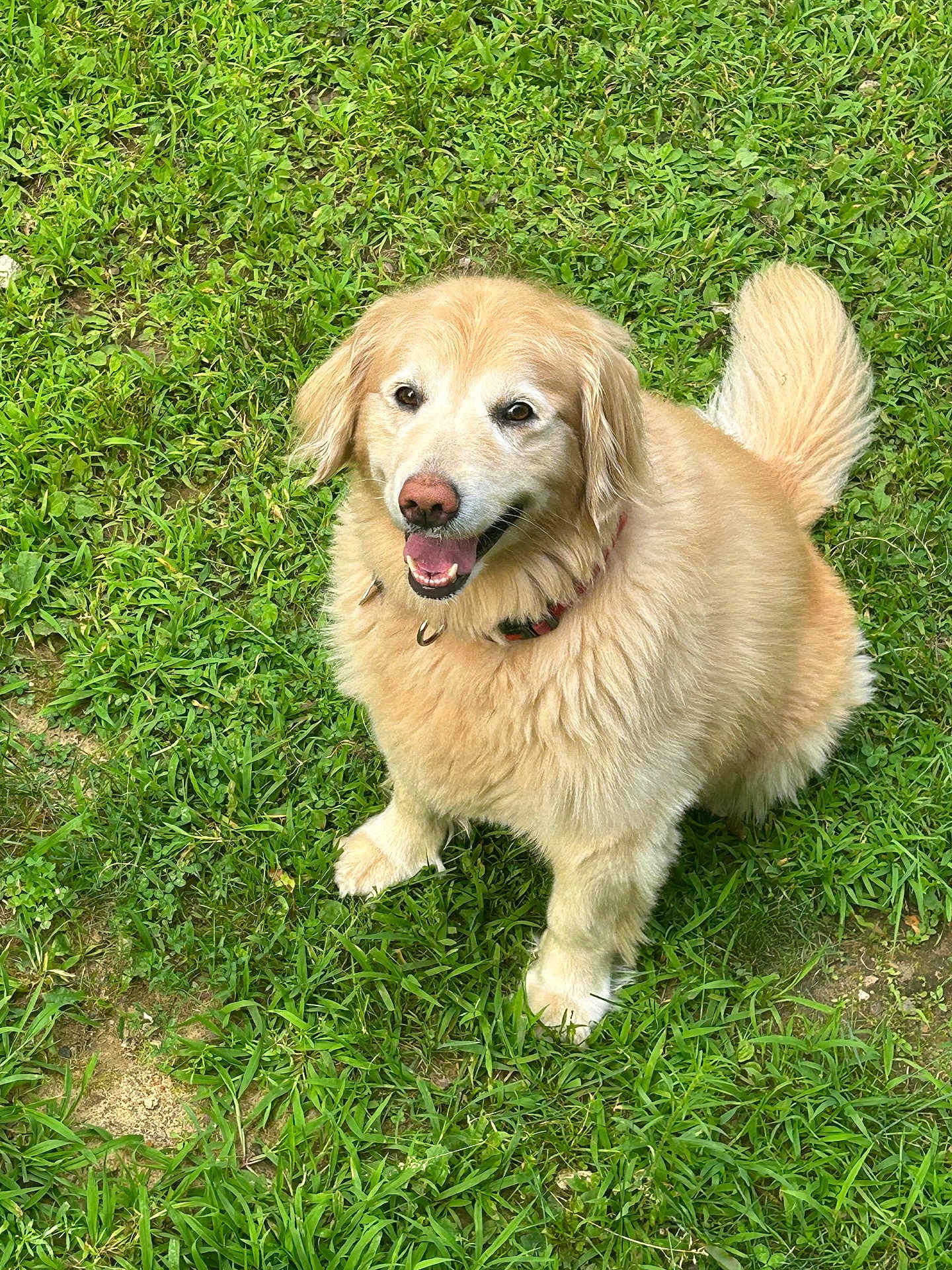 Bella