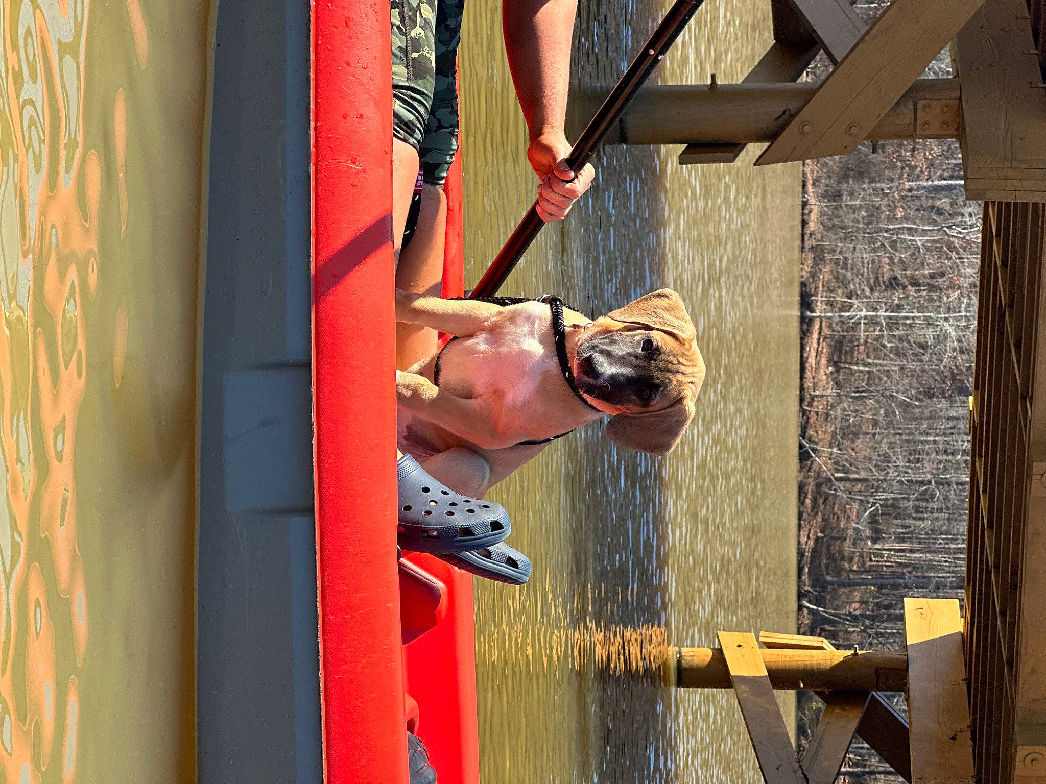 Hogan is registered to the contest to win money with this photo: blue_collar_worker, building, construction_worker, elbow, facade, fun, glass, house, human_leg, leisure, sunglasses, tints_and_shades, tradesman, visual_arts, water, window, wood