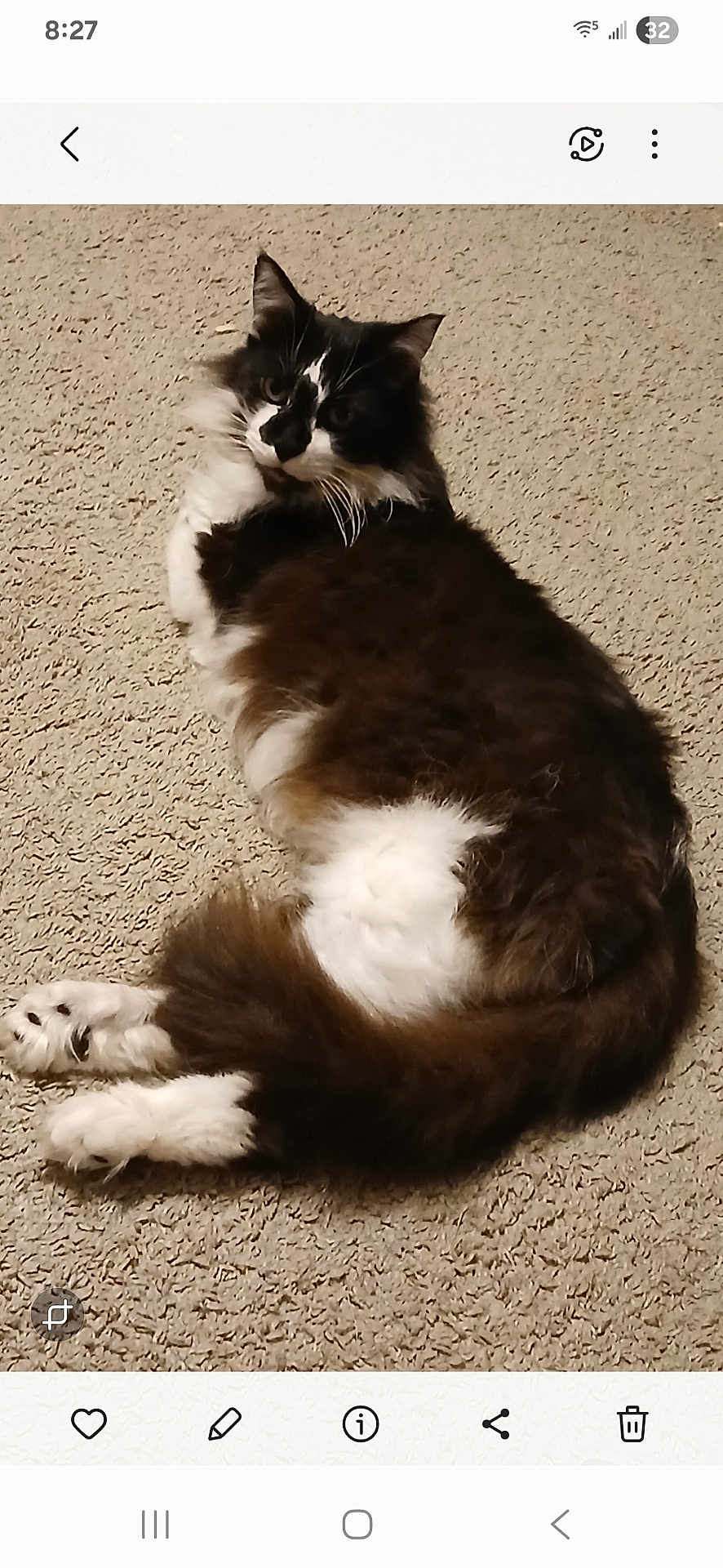 Ted