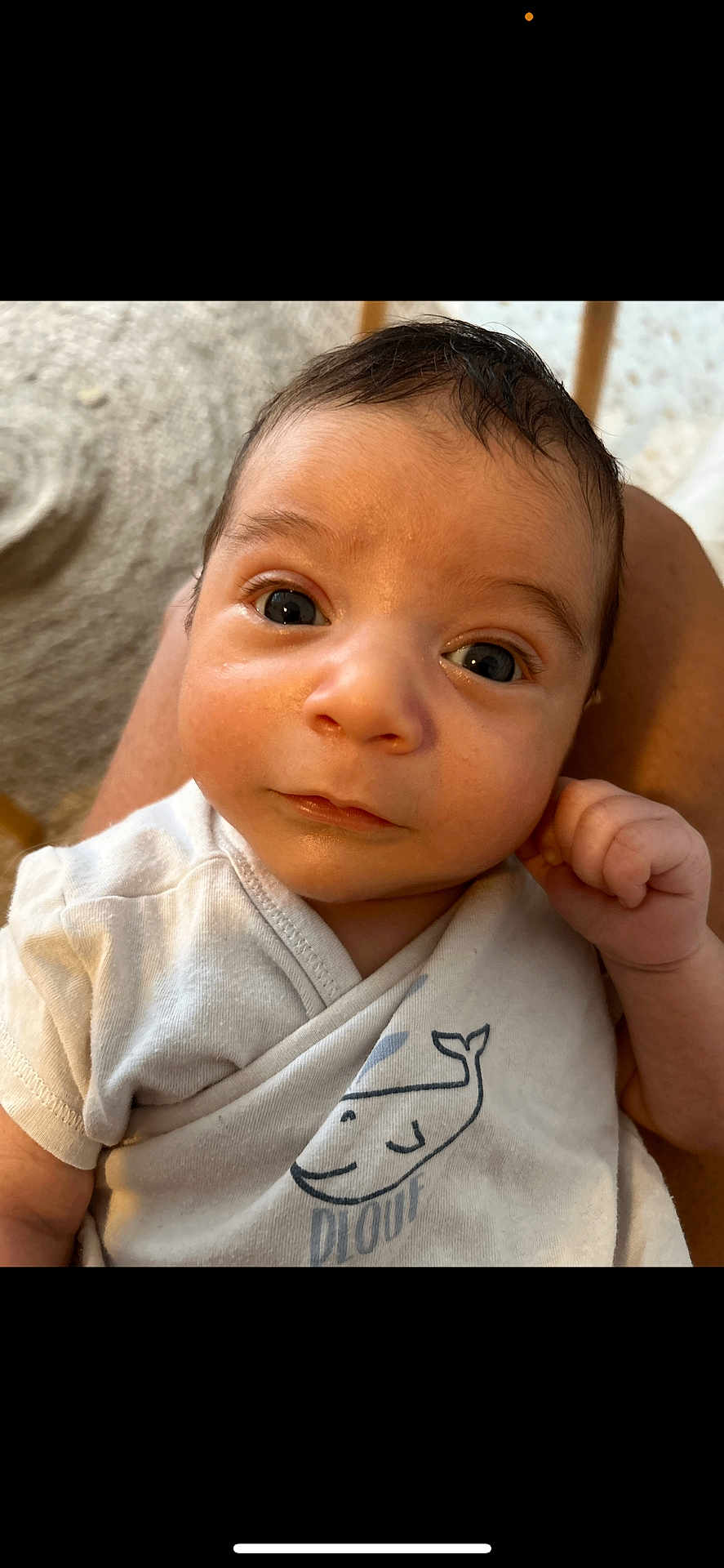 Isaac participe au concours pour gagner de l'argent avec cette photo : baby, infant, face, eyes, onesie, whale_print, clothing, hand, skin, hair, person, portrait, closeup, curious, resting, lap, indoors, natural_light, cute, child