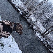 Tyno participe au concours pour gagner de l'argent avec cette photo : animal, brindle, canine, cold, daytime, dog, grass, landscape, nature, outdoor, quiet, river, riverbank, scenery, snow, snowfall, sweater, trees, water, winter