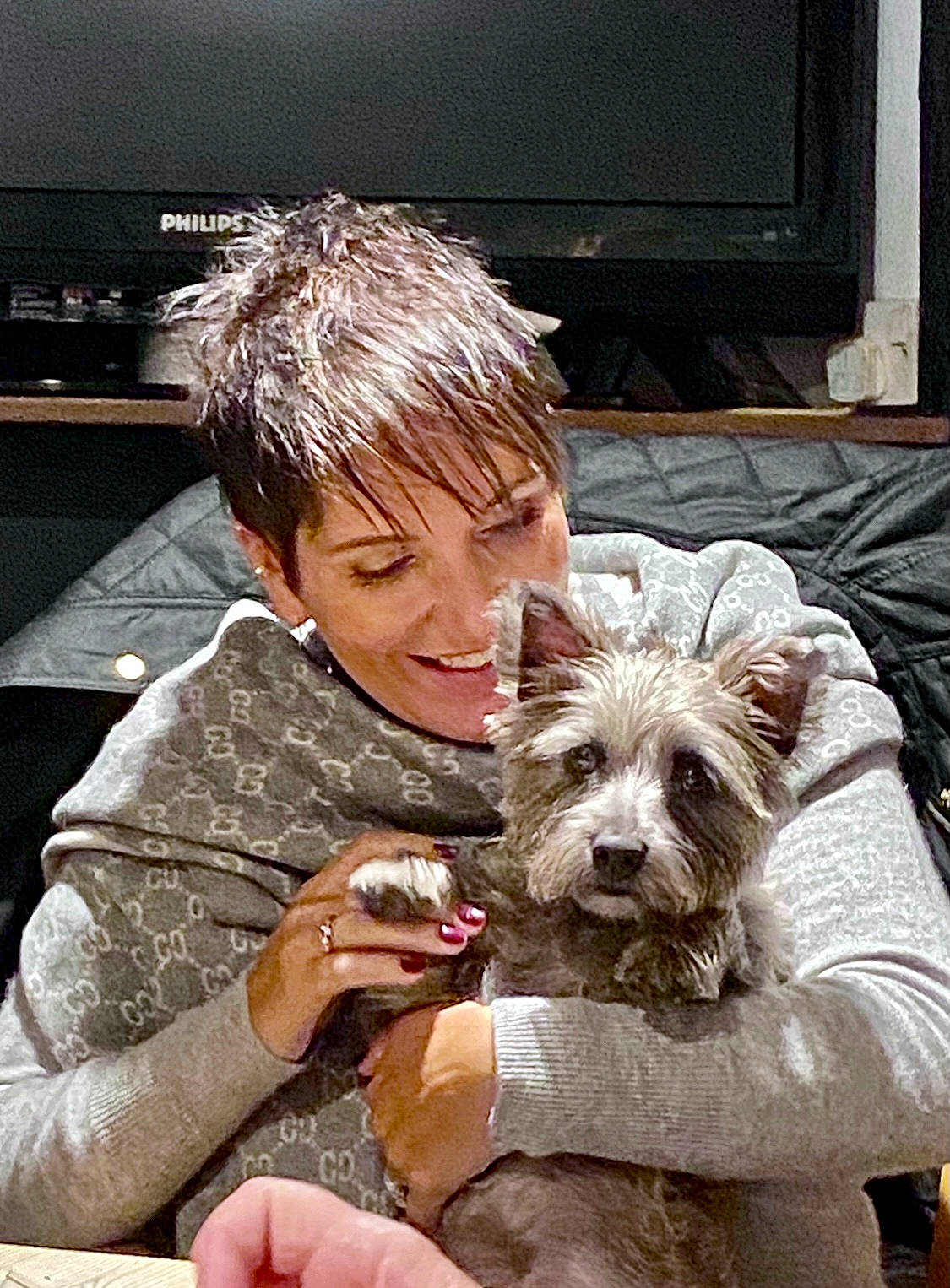 Dotty is registered to the contest to win money with this photo: canidae, carnivore, companion_dog, dog, dog_breed, fawn, flash_photography, fur, home_appliance, schnauzer, sitting, small_terrier, sporting_group, television, terrier, toy_dog, working_animal