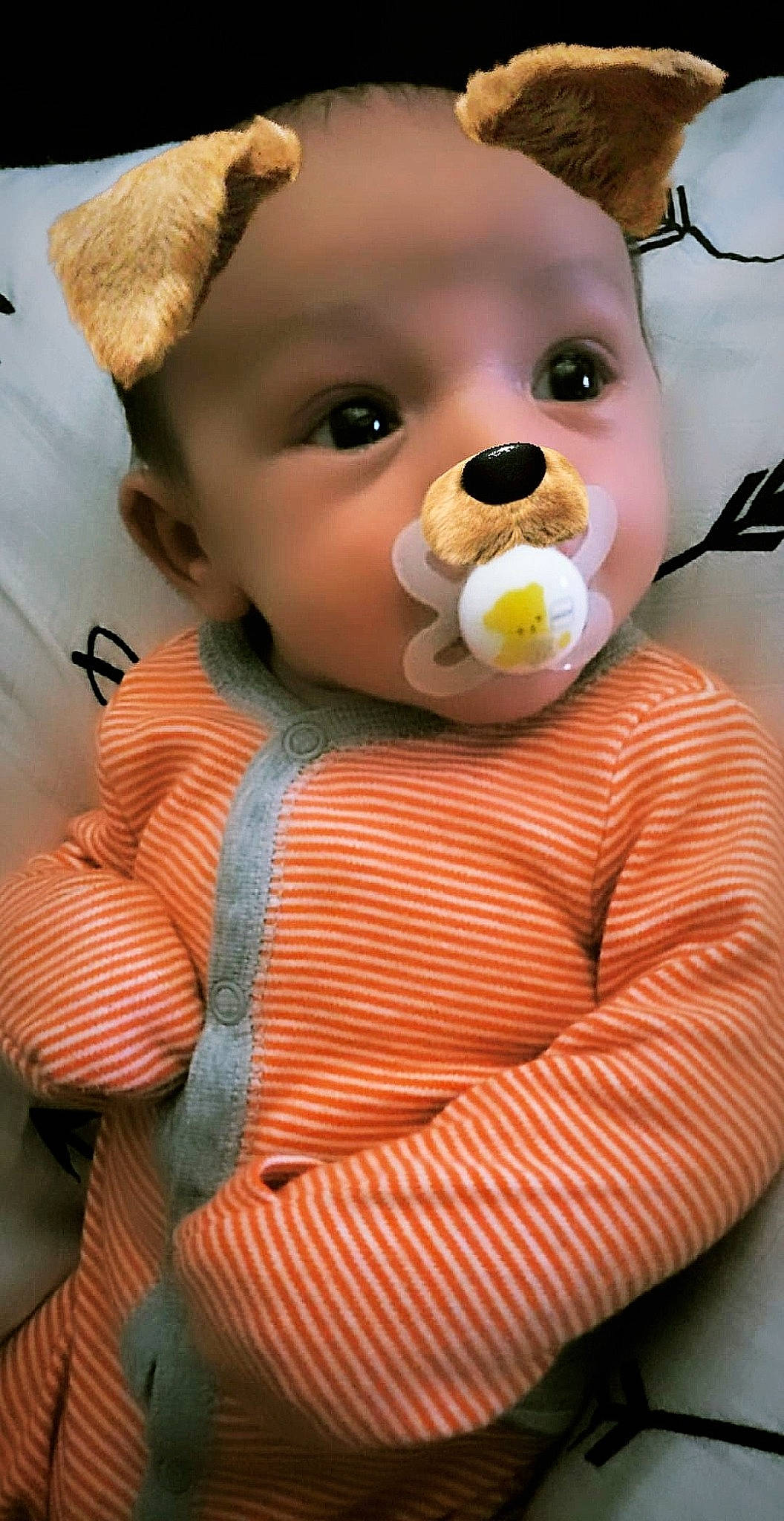 Jaxson Paul is registered to the contest to win money with this photo: baby, cheek, child, person, plush, stuffed_toy, teddy_bear, toddler, toy
