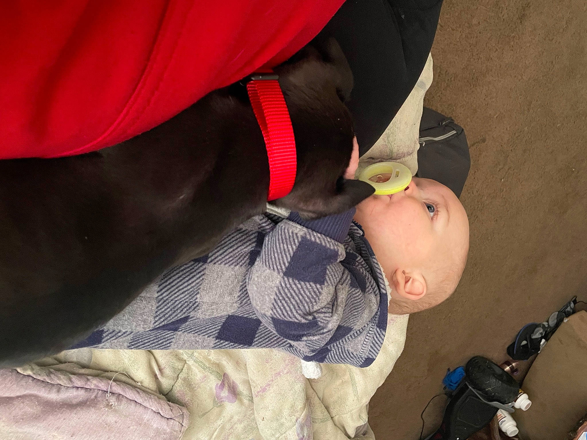 Kooper joined the competition — help win amazing prizes! baby, baby_products, carmine, comfort, elbow, fashion_accessory, gesture, human_leg, joint, knee, lap, leg, pattern, person, plaid, sitting, sleeve, tartan, thigh, tie
