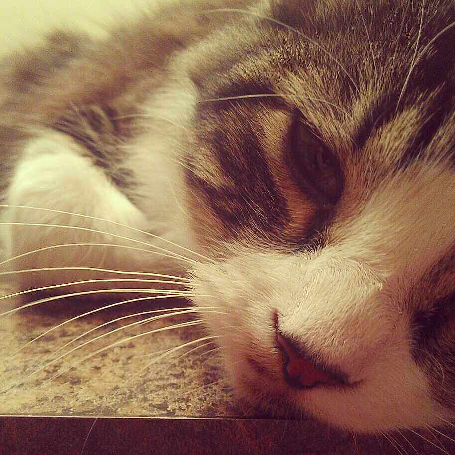 Mescaline participe au concours pour gagner de l'argent avec cette photo :