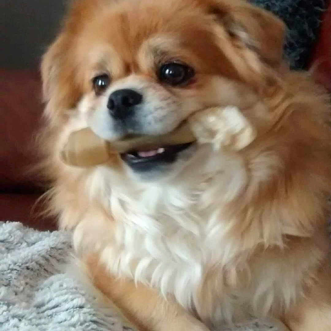 Heelou