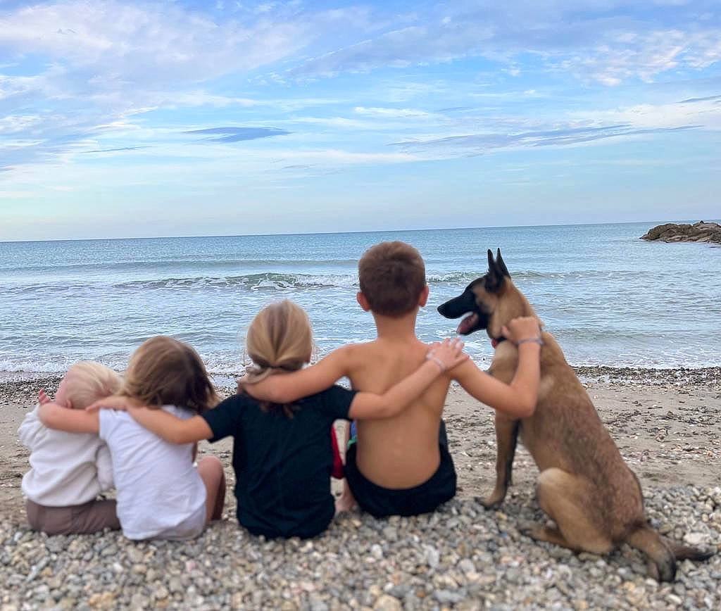 Sisko participe au concours pour gagner de l'argent avec cette photo : beach, carnivore, cloud, companion_dog, dog, dog_breed, fawn, friendship, fun, happy, horizon, leisure, people_in_nature, recreation, sand, sky, t_shirt, toddler, travel, water
