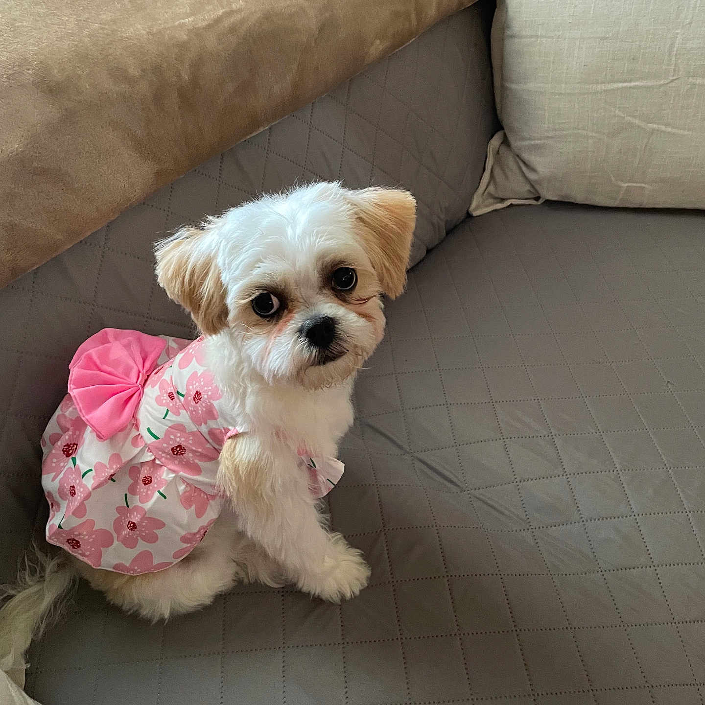 Chloe