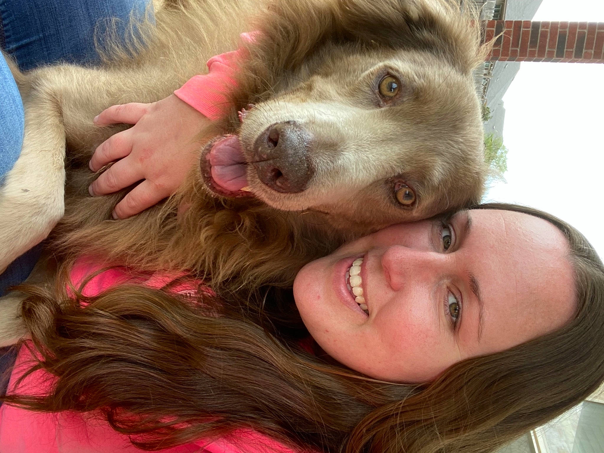 Rosco joined the competition — help win amazing prizes! blond, carnivore, companion_dog, dog, dog_breed, ear, eyelash, fawn, gesture, happy, jaw, long_hair, mammal, nose, selfie, skin, smile, snout, whiskers, working_animal