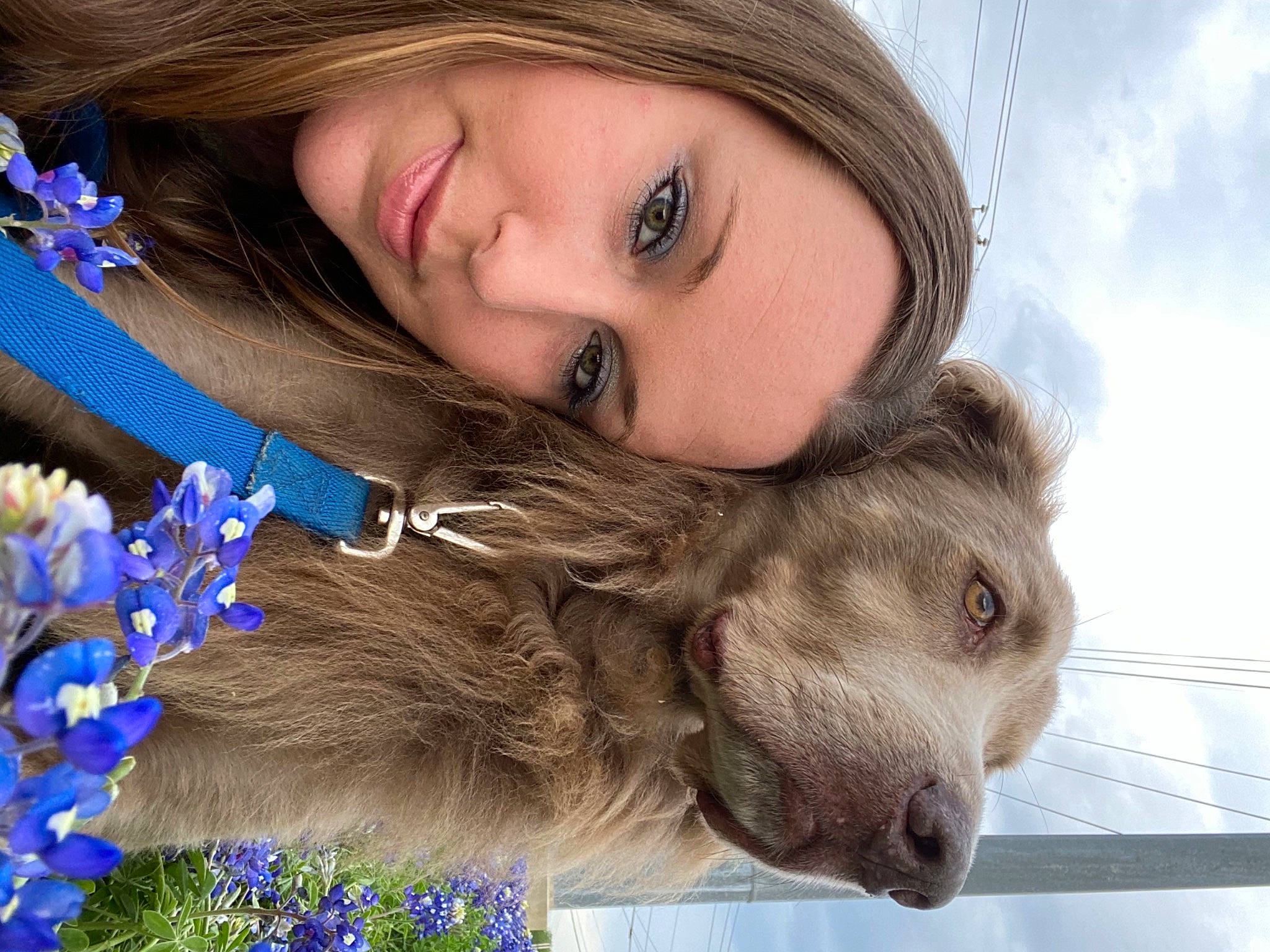 Rosco joined the competition — help win amazing prizes! blue, dog, dress, eye, eyelash, face, flower, hair, hairstyle, happy, head, iris, lip, mammal, organ, people_in_nature, petal, plant, skin, vertebrate