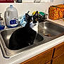 Wonton is registered to the contest to win money with this photo: cabinet, cat, countertop, curious, dish_sponge, faucet, household_item, indoor, kitchen, pet, sink, sitting, soap_dispenser, stainless_steel, towel, tuxedo_cat, water_jug, whiskers, window, yellow_eyes