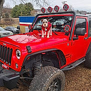 Max joined the competition — help win amazing prizes! adventure, animal, dog, fence, four_wheel_drive, gravel, hood, jeep, light, offroad, outdoor, parked_car, pet, red_vehicle, sky, sweater, tire, tree, vehicle, winter