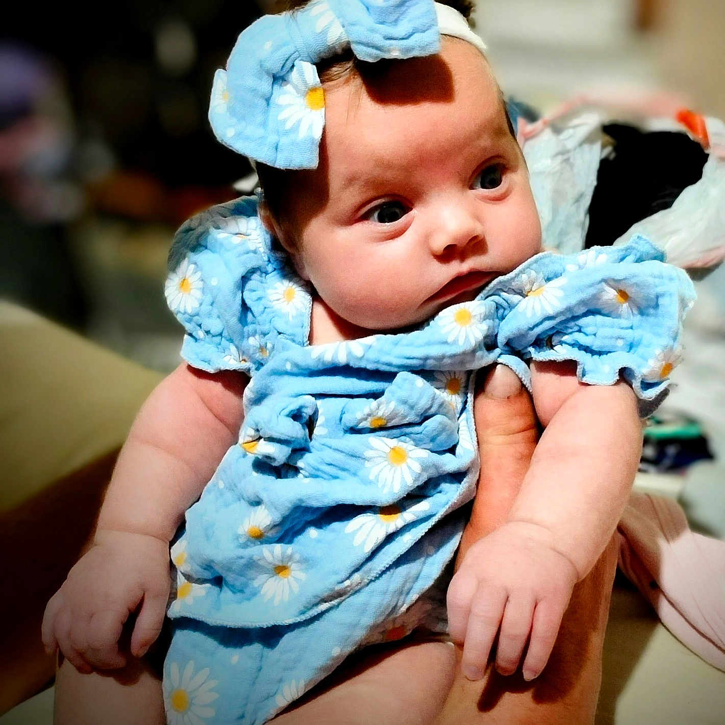 Maggie is registered to the contest to win money with this photo: baby, infant, child, portrait, sitting, blue_outfit, daisy_pattern, flower, hair_bow, headband, wide_eyes, indoors, adult_arms, clothing, blanket, close_up, colorful, cute, face, photography
