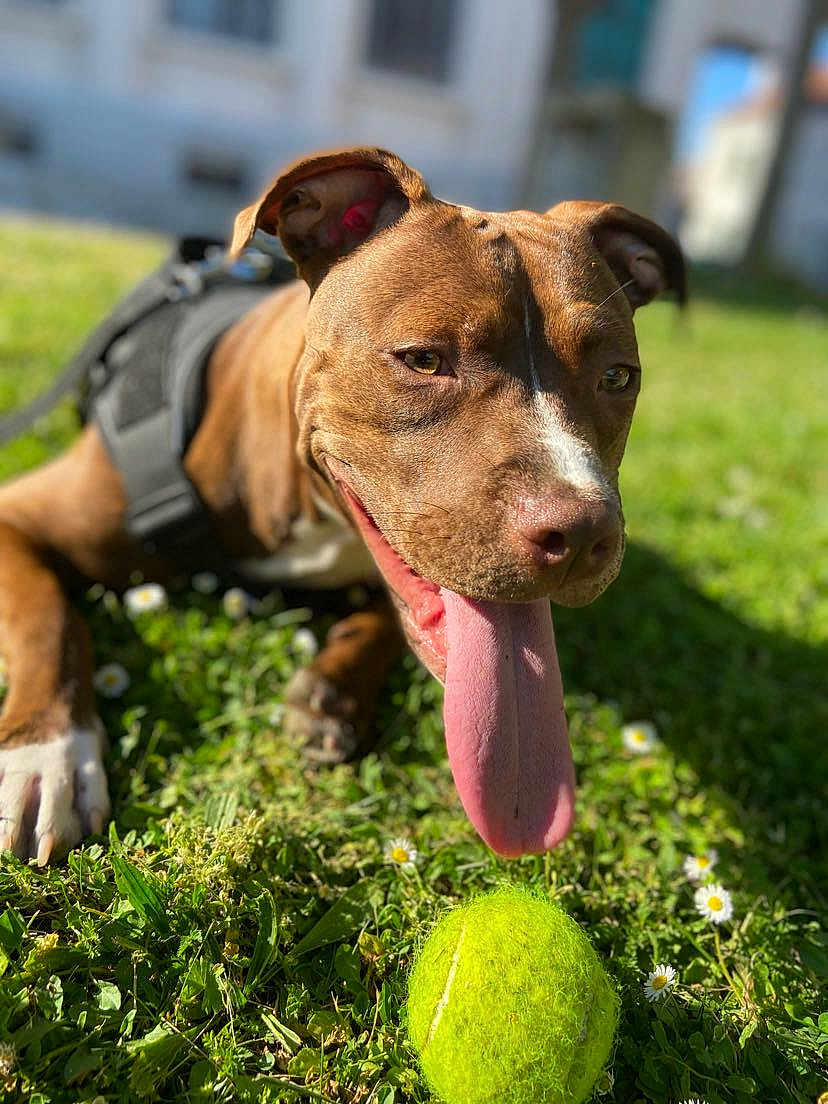 Kira