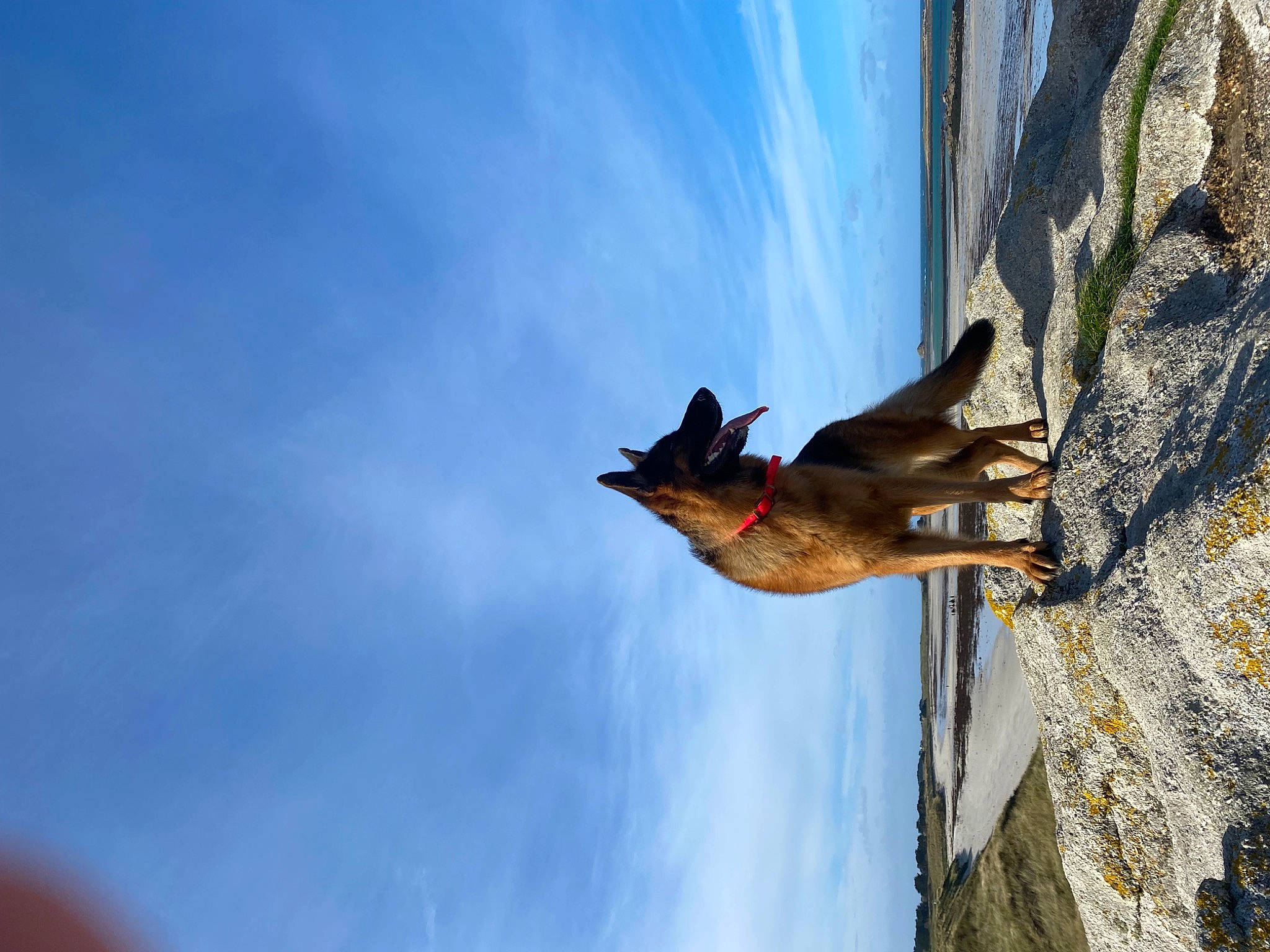 Sky a rejoint le concours — aidez-le/la à gagner de superbes lots ! adventure, cloud, dog, electric_blue, facade, leisure, recreation, rock, sky, sport_climbing, window, wood