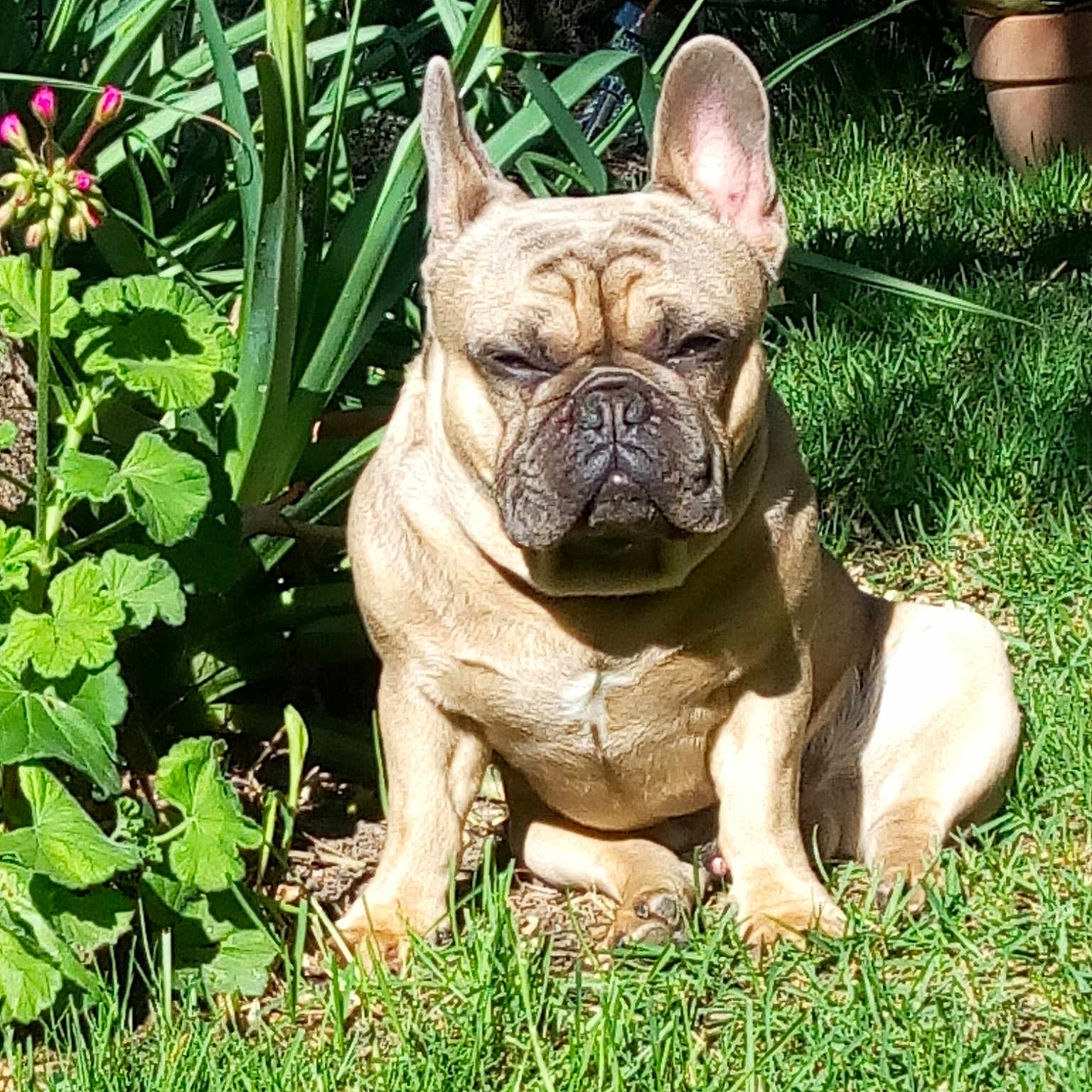 Paulo