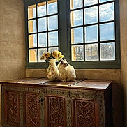 Miss Bella participe au concours pour gagner de l'argent avec cette photo : cat, vase, flowers, wooden_chest, window, natural_light, fluffy, indoor, decor, ornate, carving, sunlight, cloudy_sky, scenic_view, plant, furniture, cozy, peaceful, animal, room