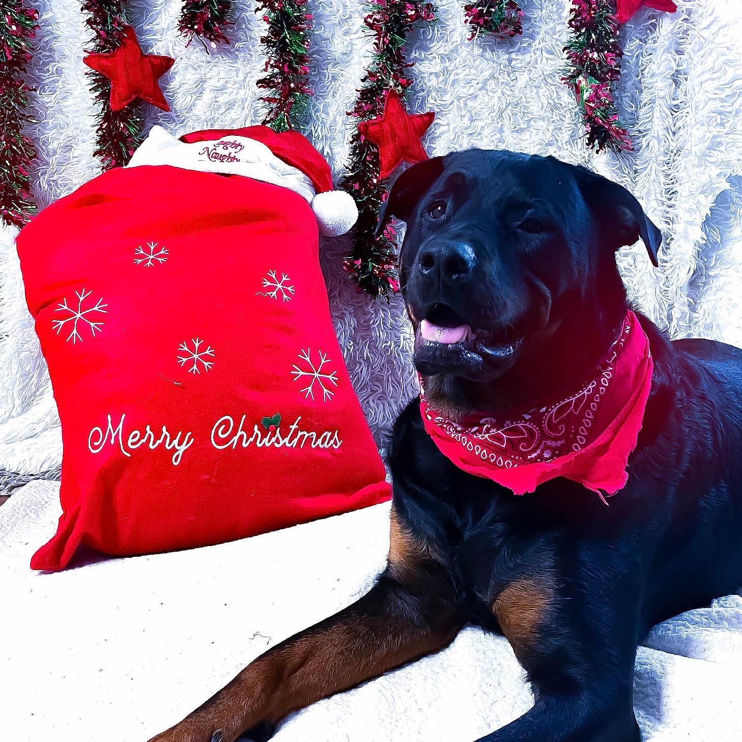 Saint Patrick Reilly