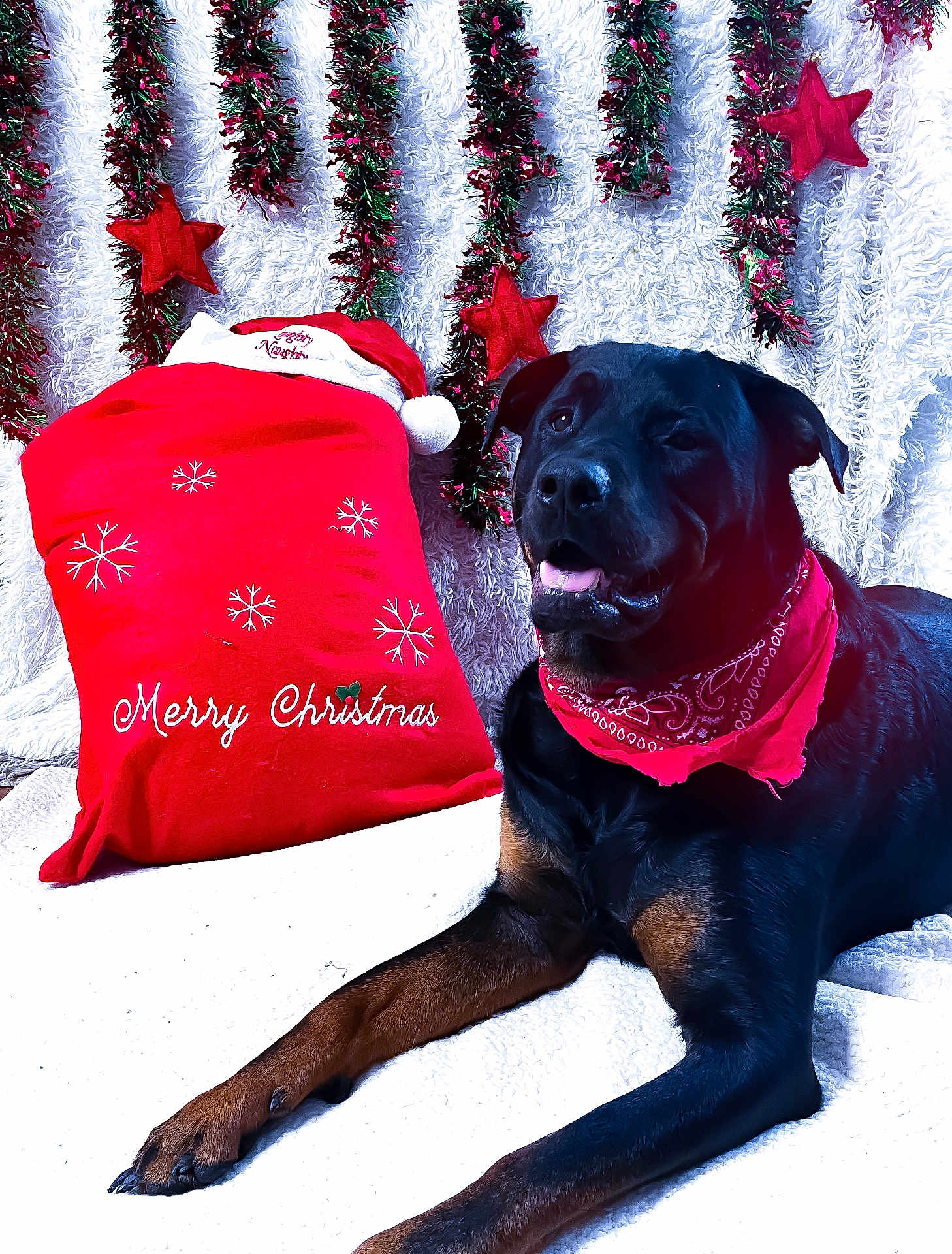 Saint Patrick Reilly