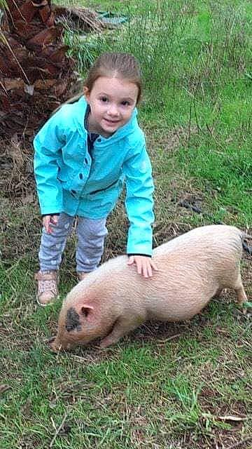 Everly a rejoint le concours — aidez-le/la à gagner de superbes lots ! adaptation, baby_toddler_clothing, domestic_pig, fur, joy, organism, person, skin, snout, suidae, terrestrial_animal, vertebrate