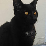 Sangha a rejoint le concours — aidez-le/la à gagner de superbes lots !