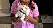 Janae is registered to the contest to win money with this photo: child, girl, pajamas, pink, stuffed_animal, toy_dog, braid, smile, indoor, kitchen, floor, checkered_floor, cabinet, refrigerator, drawing, wall_art, portrait, person, holding, cute