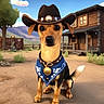 dog, animated, cowboy_hat, bandana, western, town, building, dirt_road, tree, sky, mountains, fence, collar, medallion, animal, pet, cute, outdoor, sunny, portrait