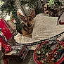 blanket, christmas_lights, christmas_tree, cute, decorative_tin, dog, festive, festivity, floor, gift_tins, holiday_decorations, holiday_season, indoor, ornaments, pet, pine_branches, red_bow, small_dog, train_track, wood_floor