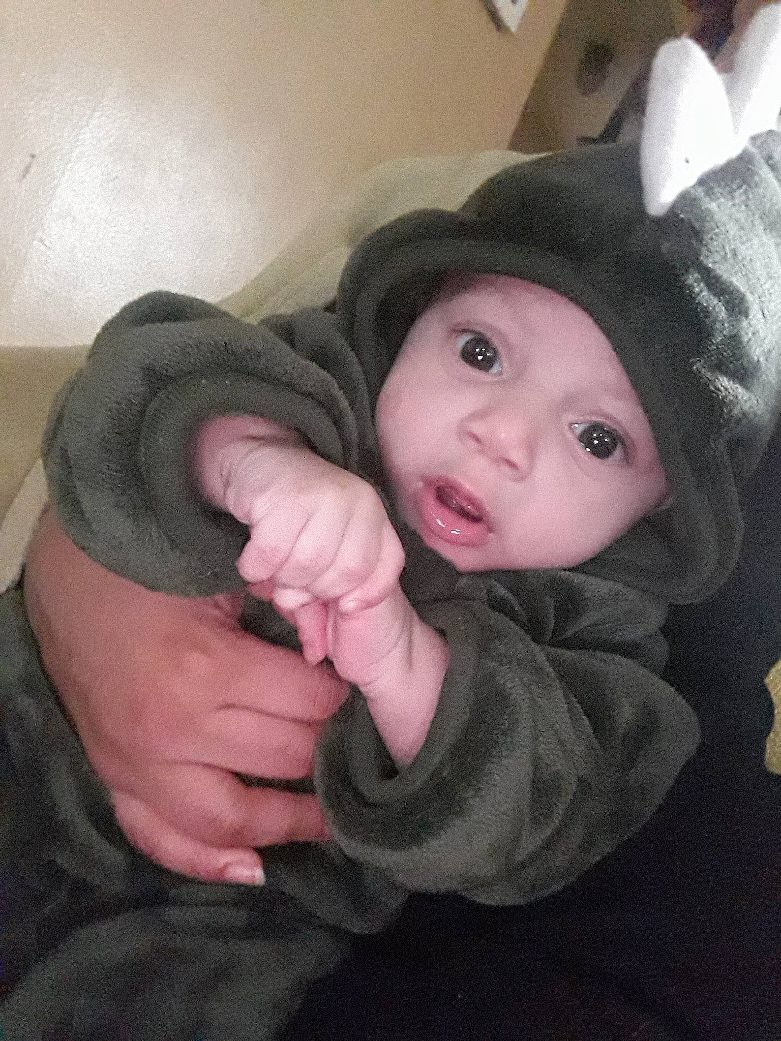 Gionni is registered to the contest to win money with this photo: arm, baby, black_hair, cheek, child, ear, eye, finger, hand, head, leg, nose, person, skin, thumb, toddler