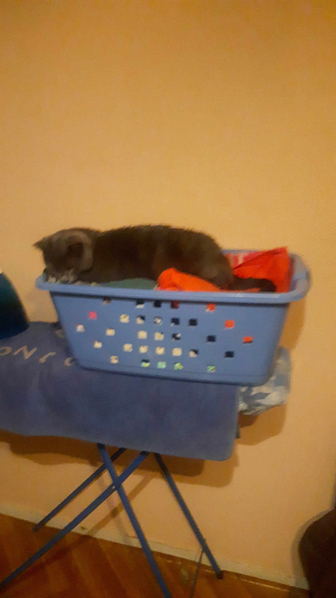 Charly