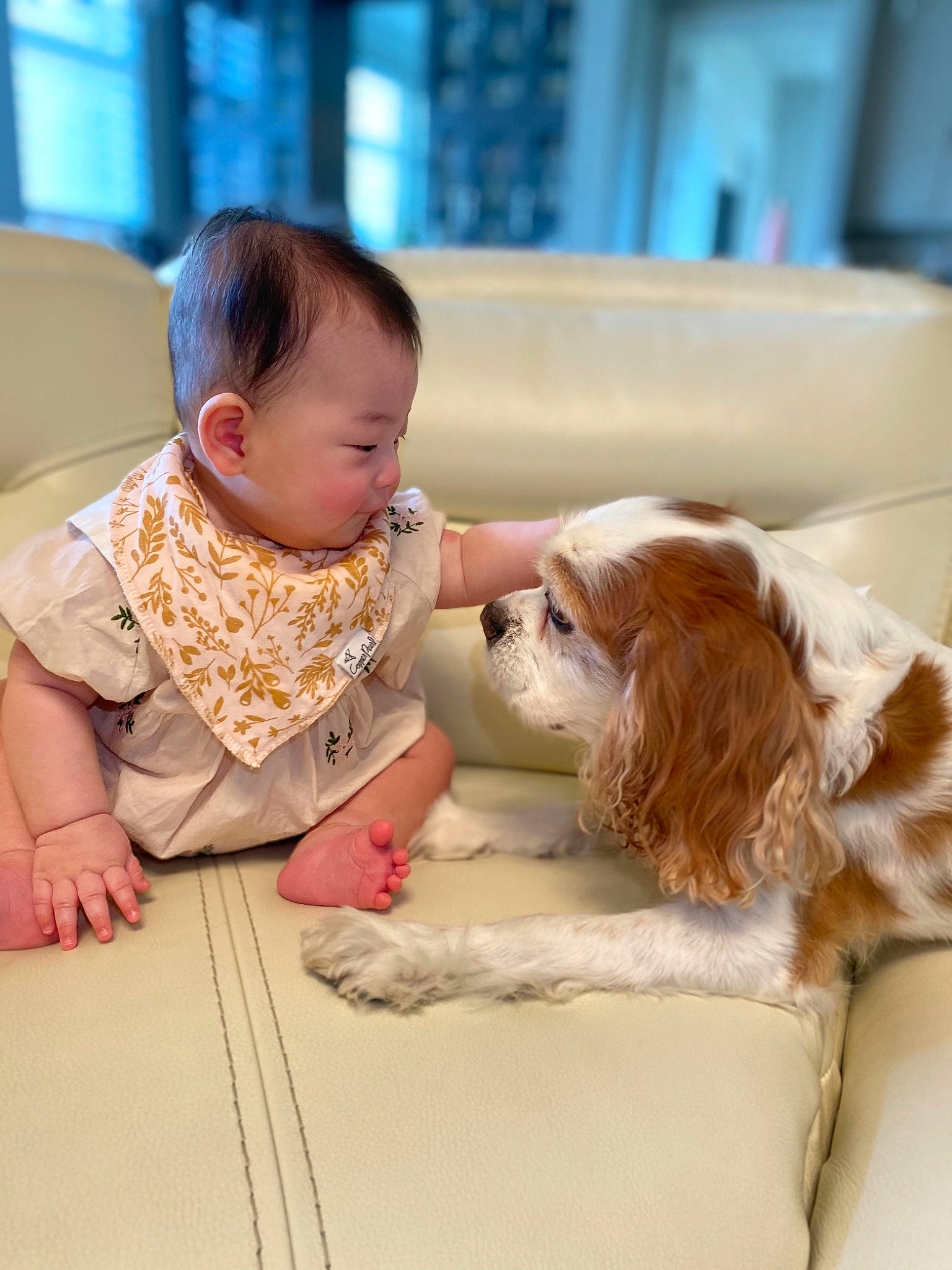 Carina joined the competition — help win amazing prizes! american_cocker_spaniel, canidae, carnivore, cavalier_king_charles_spaniel, child, cocker_spaniel, companion_dog, dog, dog_breed, fawn, king_charles_spaniel, person, puppy_love, spaniel, sporting_group