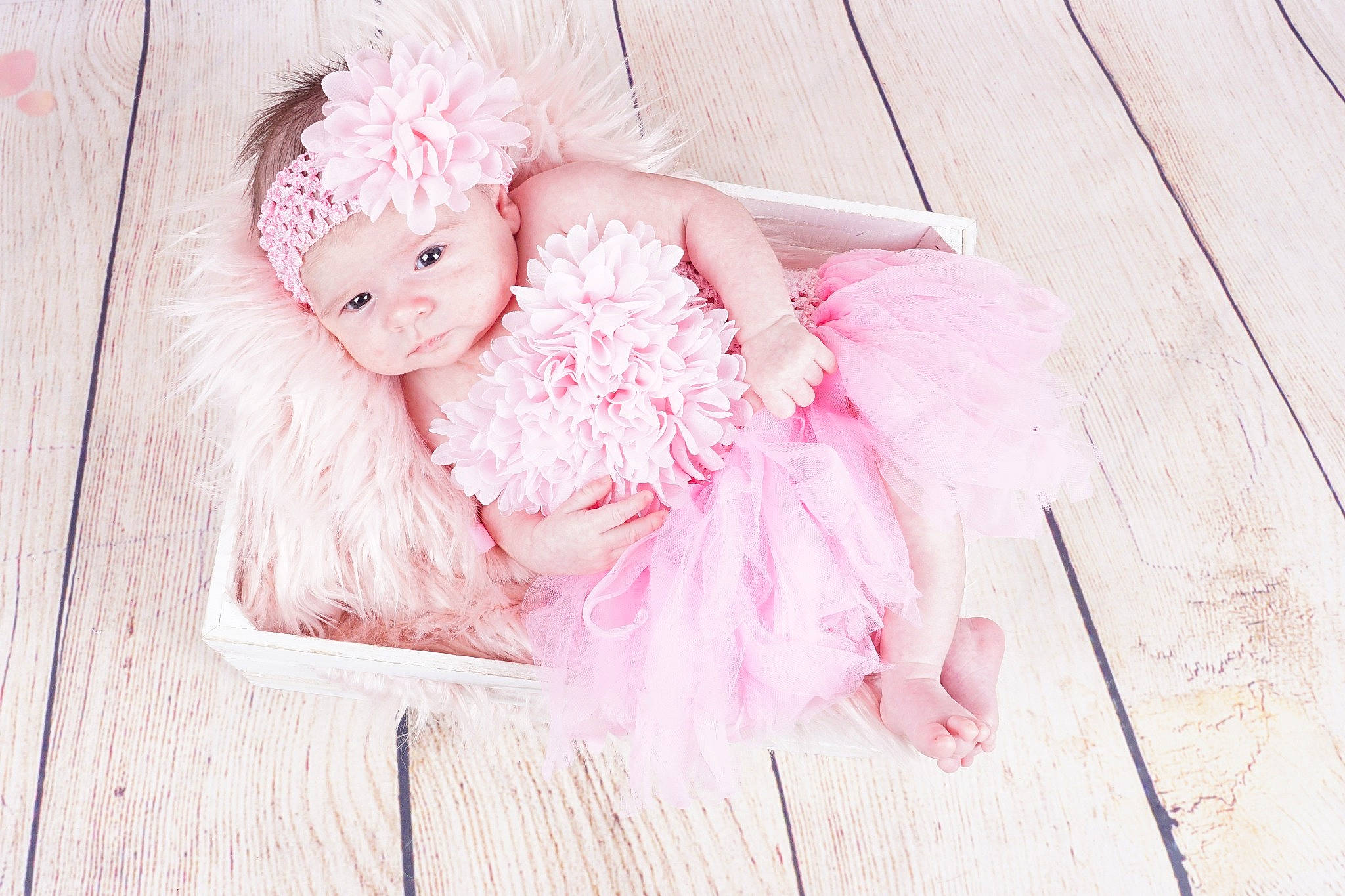 Elèna participe au concours pour gagner de l'argent avec cette photo : baby, child, costume, dress, flower, fur, hair_accessory, headgear, headwear, peach, person, photograph, photography, pink, plant, textile, toddler