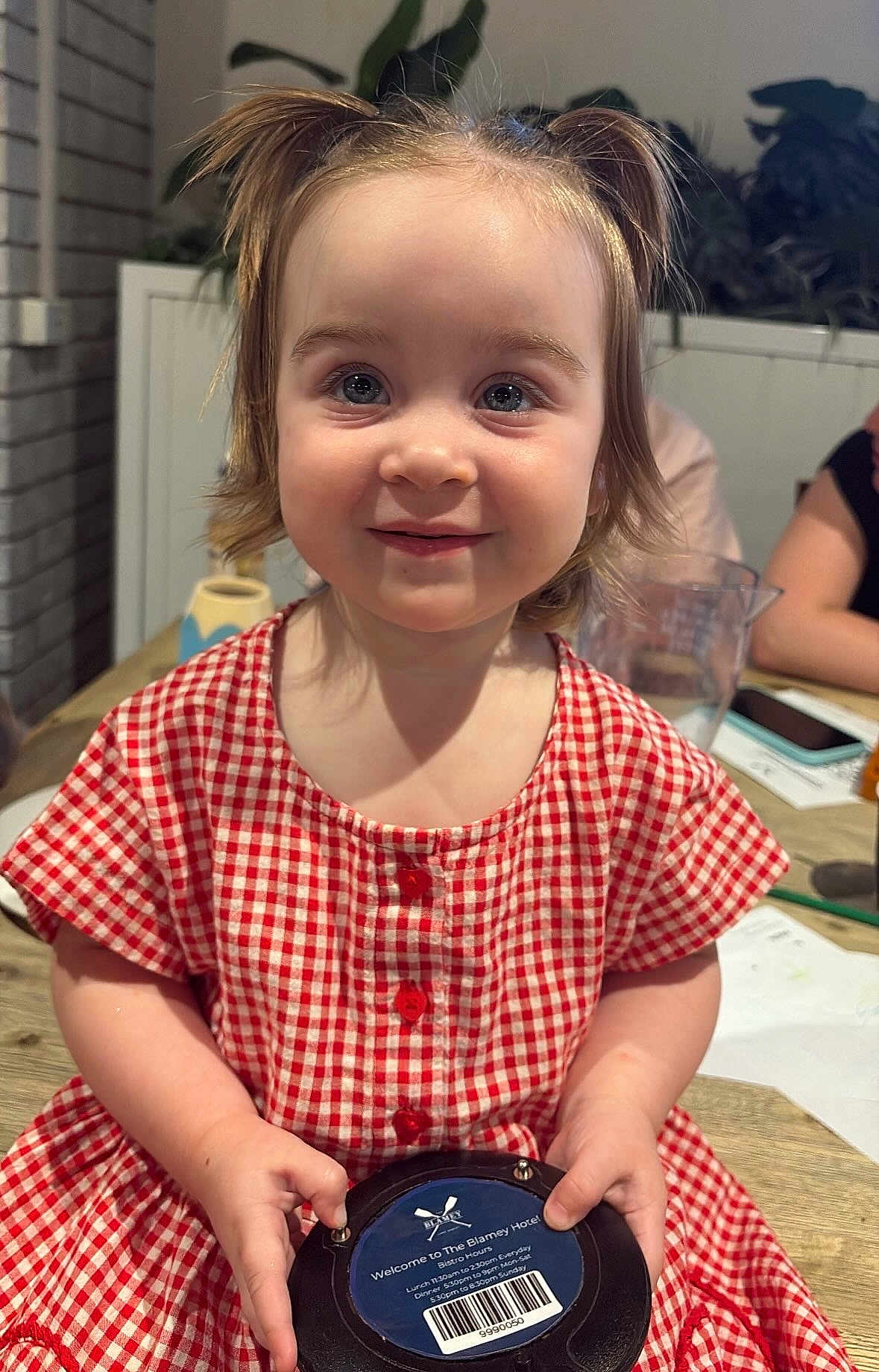 Malee is registered to the contest to win money with this photo: child, toddler, portrait, smile, blue_eyes, pigtails, red_checkered_dress, dress, handheld_device, barcode, wooden_table, indoor, houseplant, brick_wall, jug, smartphone, people, close_up, candid, dining