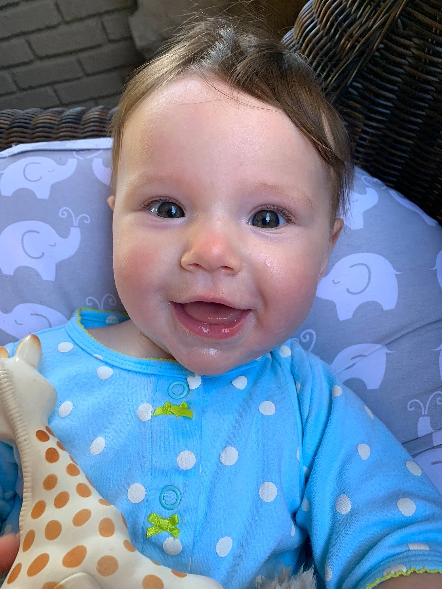 Virginia is registered to the contest to win money with this photo: beauty, blue, boy, cheek, child, day, eye, face, facial_expression, forehead, hair, hairstyle, head, human_hair_color, infant, nose, person, skin, smile, toddler