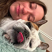 June joined the competition — help win amazing prizes! woman, dog, bulldog, tongue_out, close_up, face, pet, snuggle, cozy, indoor, blanket, fur, cute, relaxed, portrait, animal, human, resting, home, sleepy