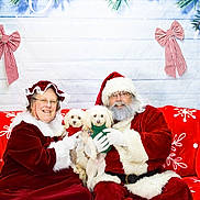 Bo And Daisy is registered to the contest to win money with this photo: santa_claus, mrs_claus, dog, christmas, holiday, red_couch, snowflake_pattern, festive, smiling, glasses, beard, hat, sweater, gloves, decorations, greenery, bows, portrait, indoor, celebration