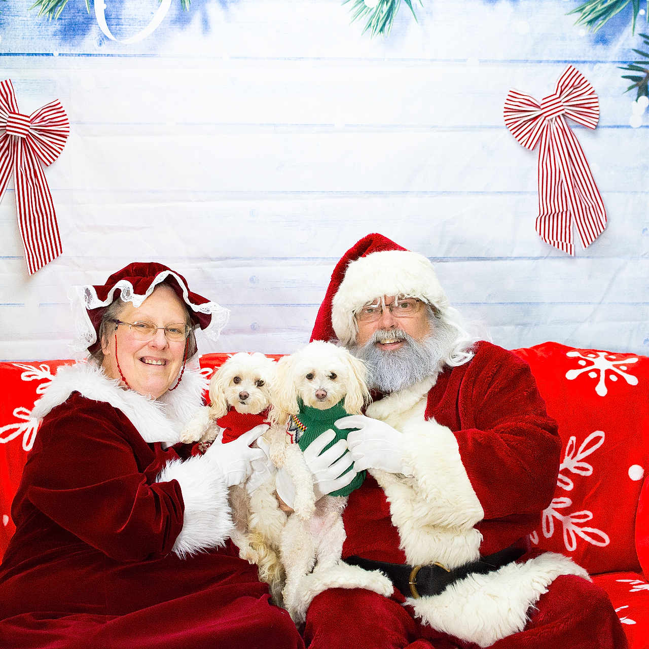 Bo And Daisy is registered to the contest to win money with this photo: beard, bows, celebration, christmas, decorations, dog, festive, glasses, gloves, greenery, hat, holiday, indoor, mrs_claus, portrait, red_couch, santa_claus, smiling, snowflake_pattern, sweater