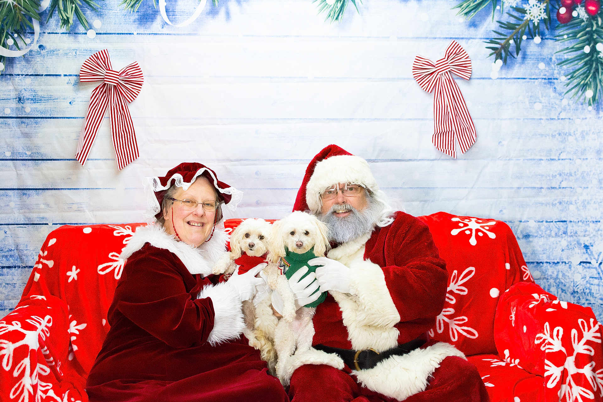 Bo And Daisy is registered to the contest to win money with this photo: santa_claus, mrs_claus, dog, christmas, holiday, red_couch, snowflake_pattern, festive, smiling, glasses, beard, hat, sweater, gloves, decorations, greenery, bows, portrait, indoor, celebration