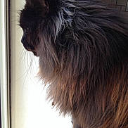 Ioga a rejoint le concours — aidez-le/la à gagner de superbes lots !