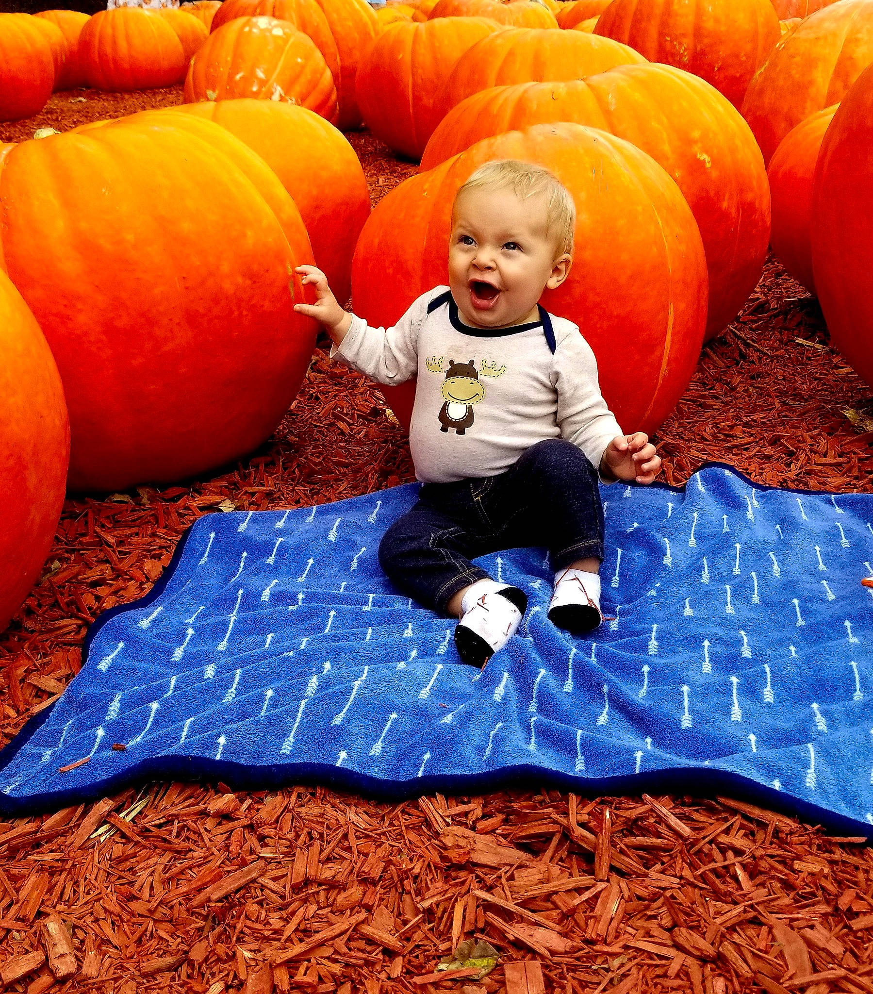 Connor is registered to the contest to win money with this photo: autumn, baby, calabaza, child, cucurbita, food, fruit, fun, gourd, leaf, orange, person, plant, produce, pumpkin, smile, squash, toddler, vegetable, vegetarian_food
