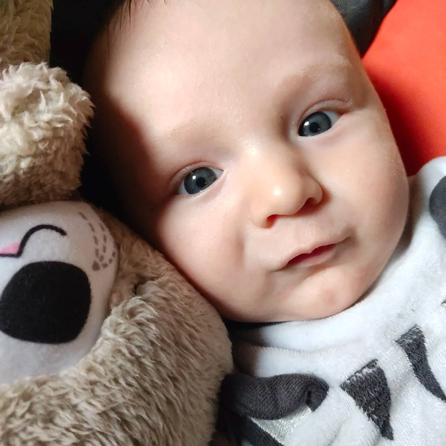 Marius participe au concours pour gagner de l'argent avec cette photo : cheek, chin, ear, eye, eyebrow, eyelash, facial_expression, head, iris, lip, mammal, mouth, nose, organ, person, product, skin, textile, toy, vertebrate