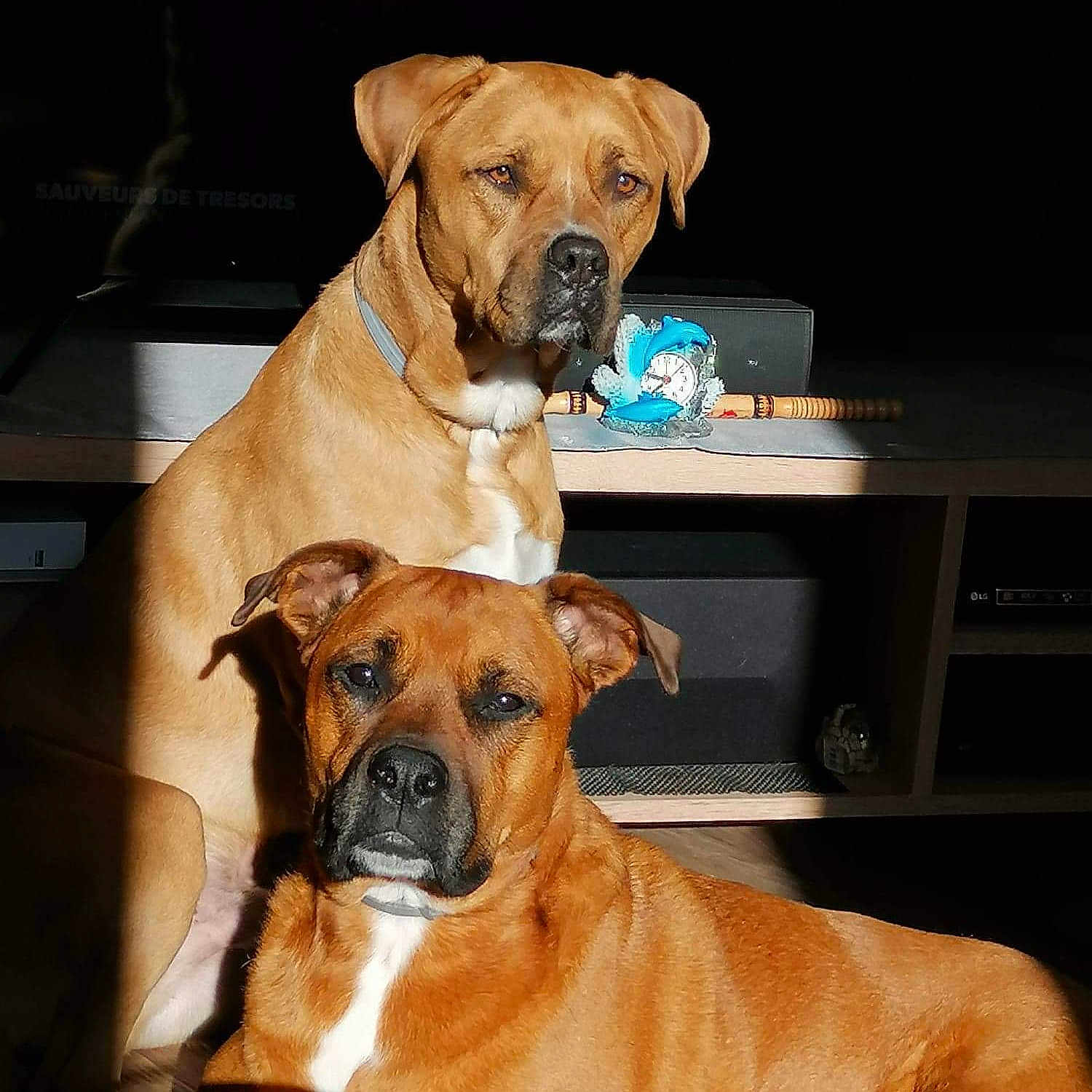 Hypsy Et Bandit