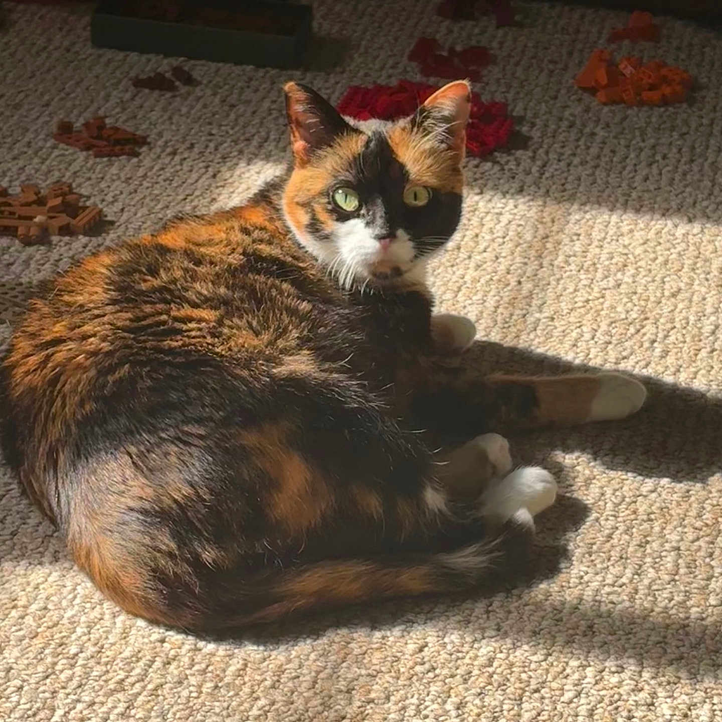 Bella