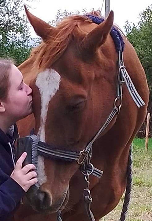 Sarmond a rejoint le concours — aidez-le/la à gagner de superbes lots ! bridle, brown, ear, halter, horse, horse_supplies, horse_tack, human, interaction, jaw, mammal, muscle, organ, organism, rein, skin, snout, sorrel, vertebrate, working_animal
