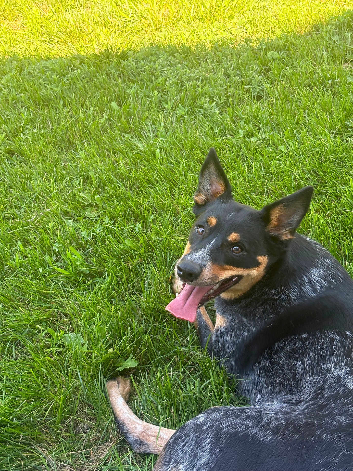 Mia