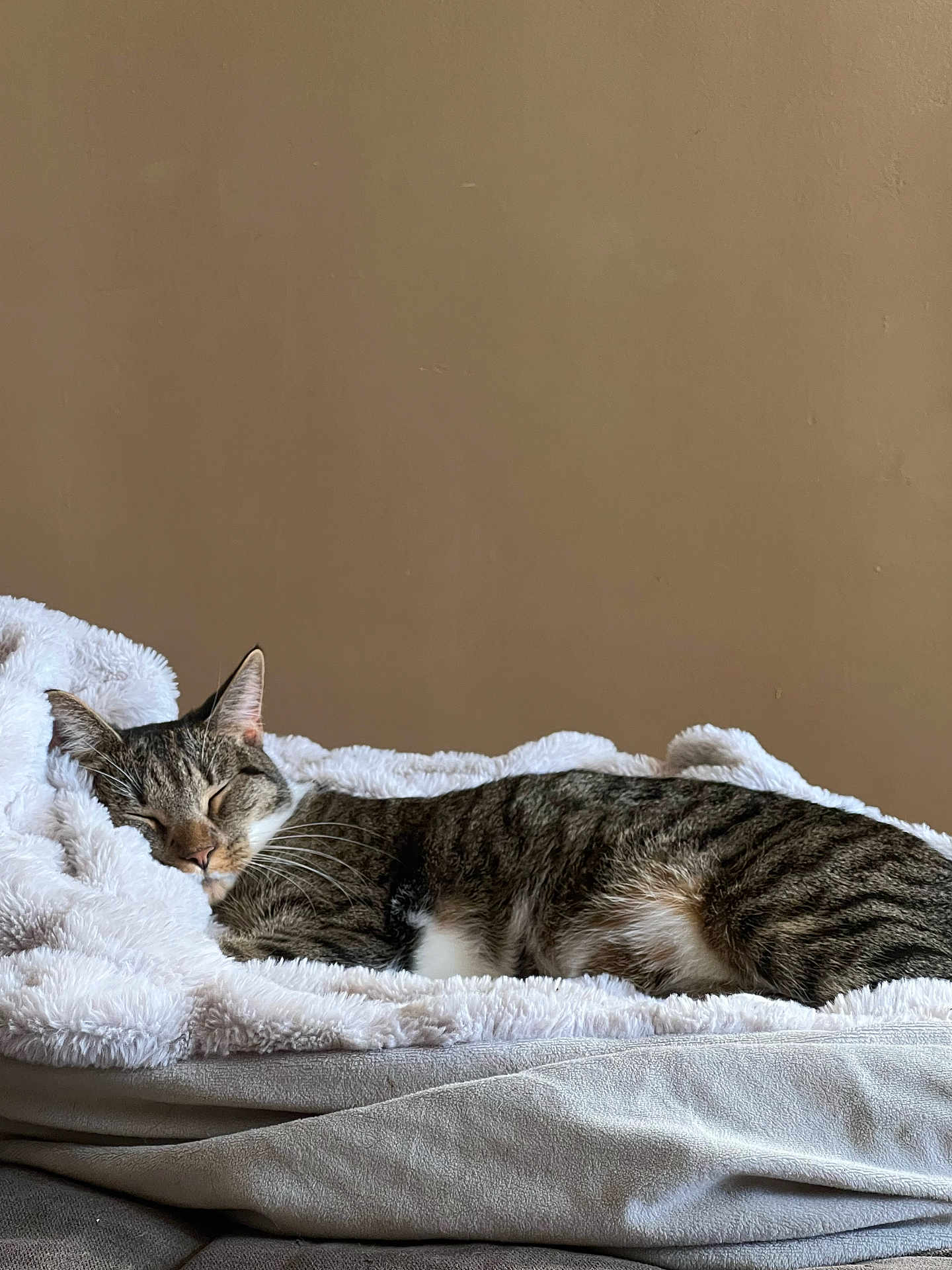 Cleopatra