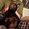 cat, black_cat, pet, indoor, person, green_shirt, plaid_pants, lap, cozy, comfort, feline, animal, domestic_cat, relaxing, seated, close_up, expression, looking_up, home, casual_clothing