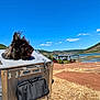 dog, sunglasses, metal_box, outdoor, lake, hills, blue_sky, sunny, grass, dirt_path, nature, pet, canine, travel, adventure, landscape, summer, animal, funny, wind